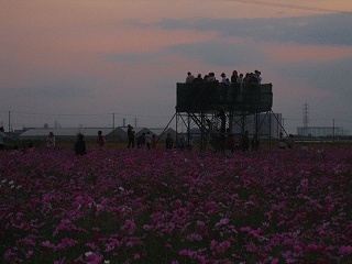 ちょっと怖いかんじ？