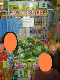 本当に売っていた！！