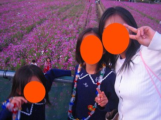 とってもきれい♪