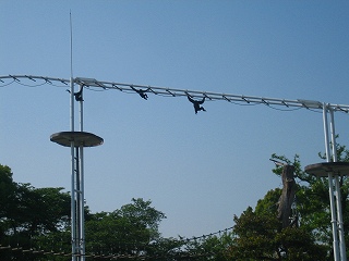 どんどん渡っていきます！