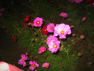 とてもキレイですっ