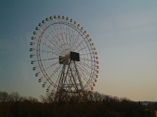 おおーっ　大観覧車だ。