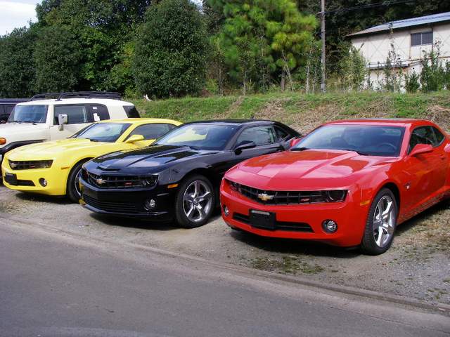 コピー ～ IMGP3358.JPG