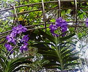 20060422160255.jpg