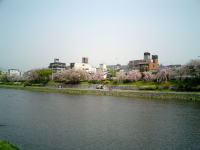 鴨川　その1