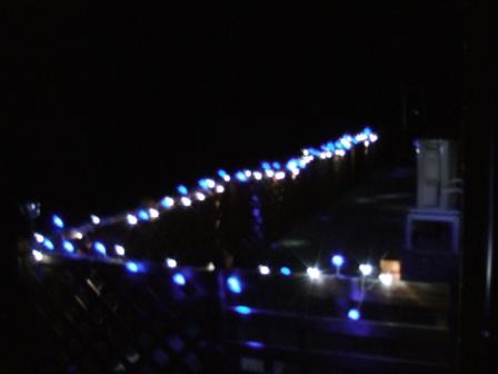 イルミネーション２