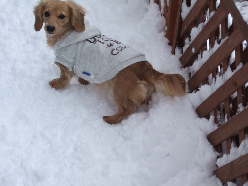 ﾘﾝﾀﾞのワキに！！