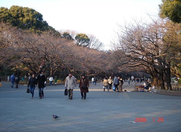 上野公園