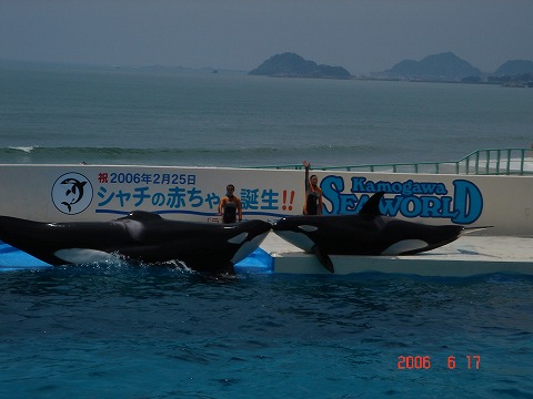 照片 039.jpg