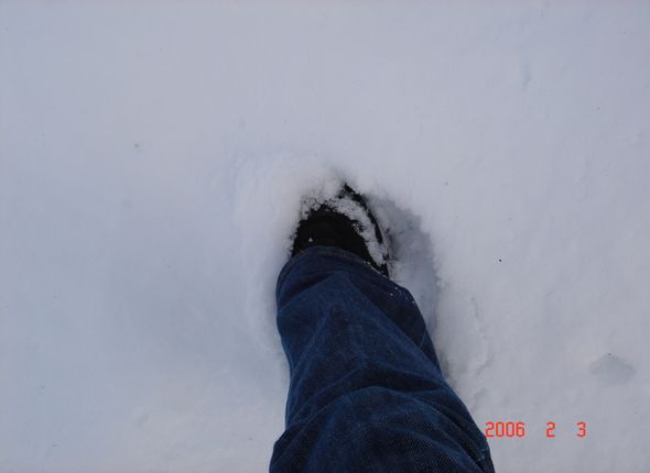 エミリの足　初雪
