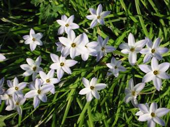 image002.jpg