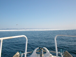 近づく流氷帯