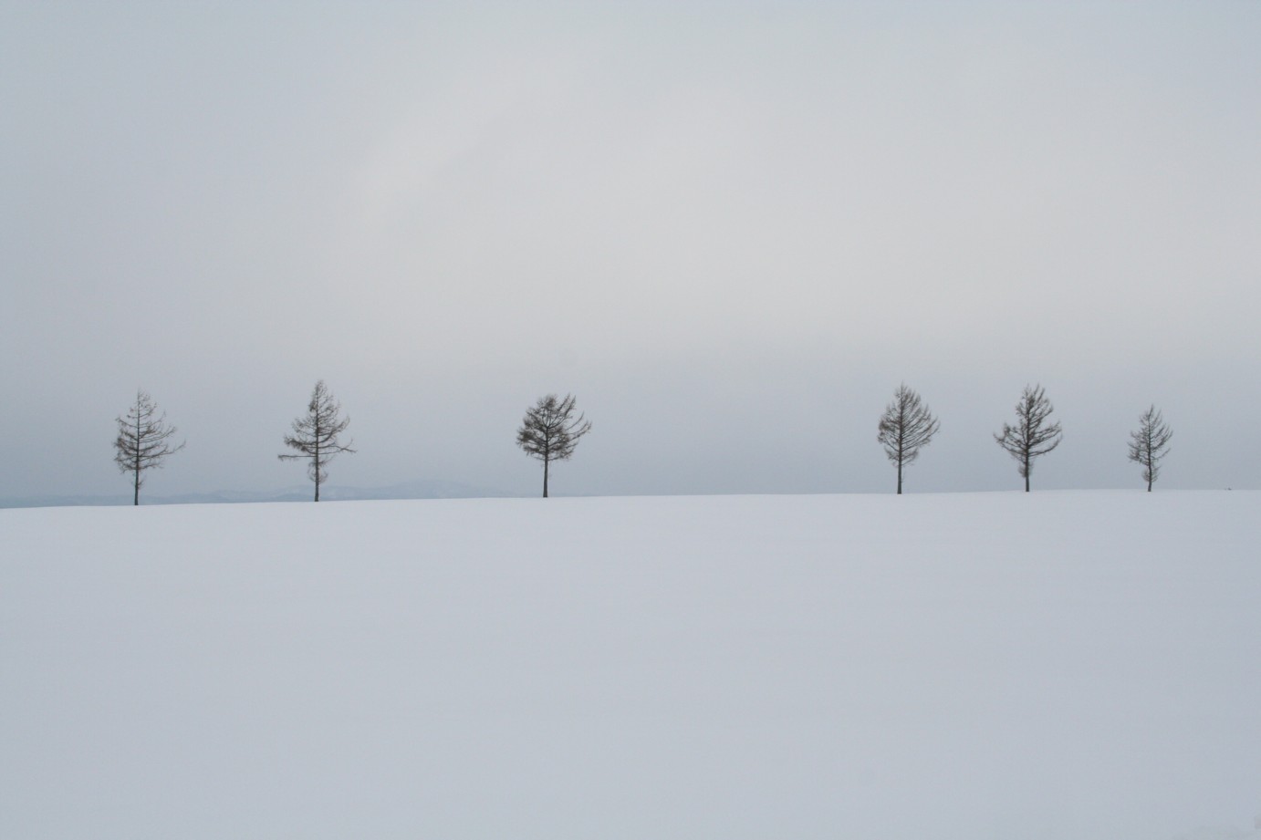 IMG_1日目01雪原風景.jpg