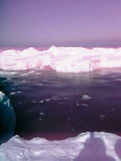 流氷だヨン