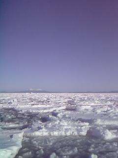 美らしき流氷・・・