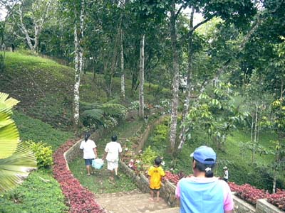 階段の先に・・・