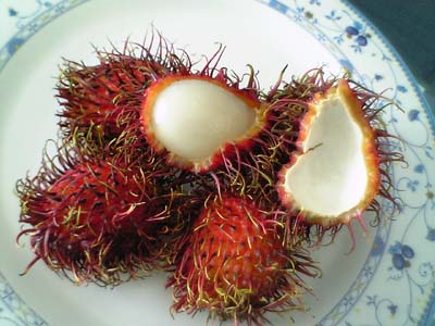 ランブータン２