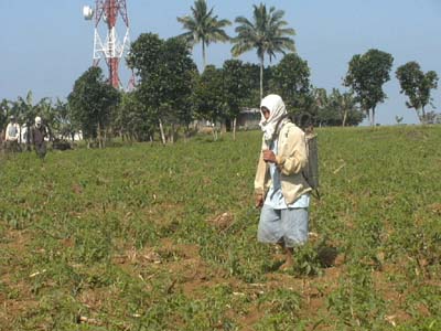 農薬をまく農夫