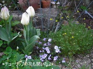 DSCF0099.JPG