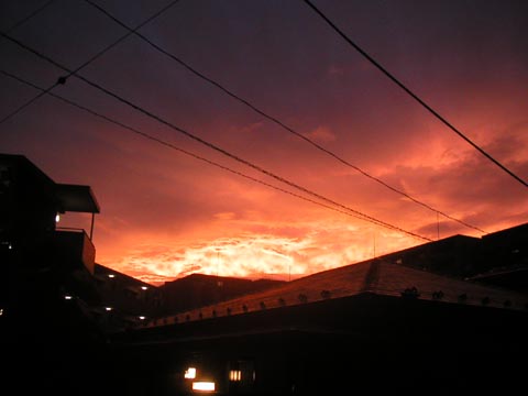 20060808_1849.jpg