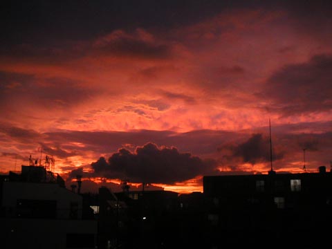 20060808_1853_1.jpg