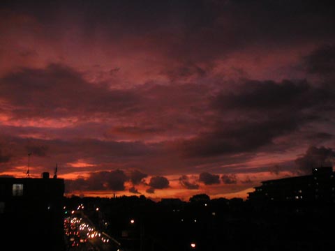 20060808_1853_2.jpg