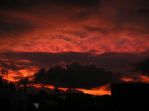200608080_1853_3.jpg