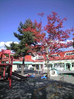 紅葉