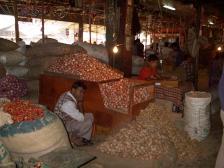 たまねぎじゃがいも