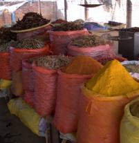 スパイス干し魚