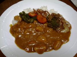カリカリ野菜のせカレー