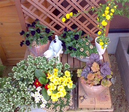 4月、玄関脇ウッドスタンドの様子。