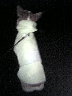 DVC00311_M.JPG