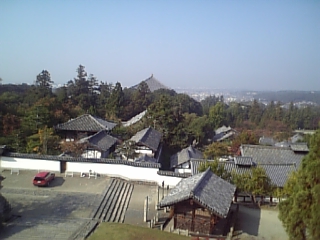 DVC00037_M.JPG