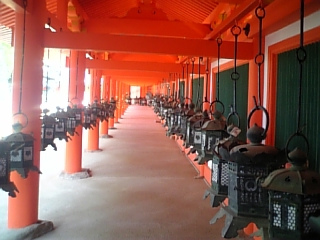 DVC00039_M.JPG