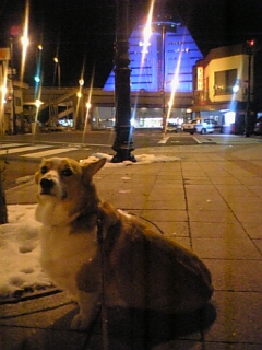 071222_202425.jpg