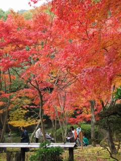 龍野公園2