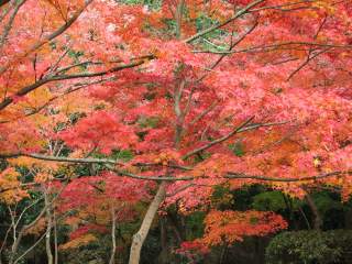 龍野公園4