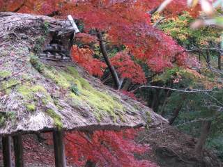 東山公園3