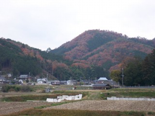 山の紅葉