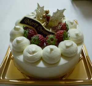 christmas cake.jpg