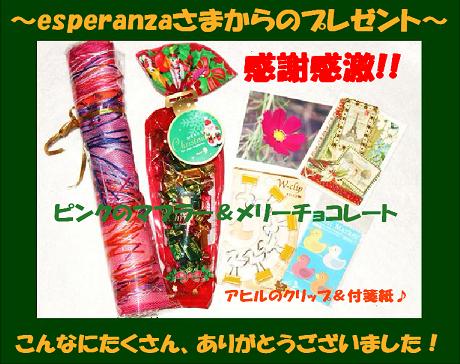 esperanzaちゃんからのプレゼント♪.jpg