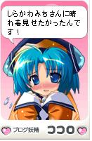 ココロ
