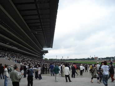 東京競馬場