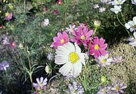 200909091615000.jpg