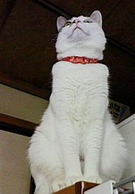 200902241807000.jpg