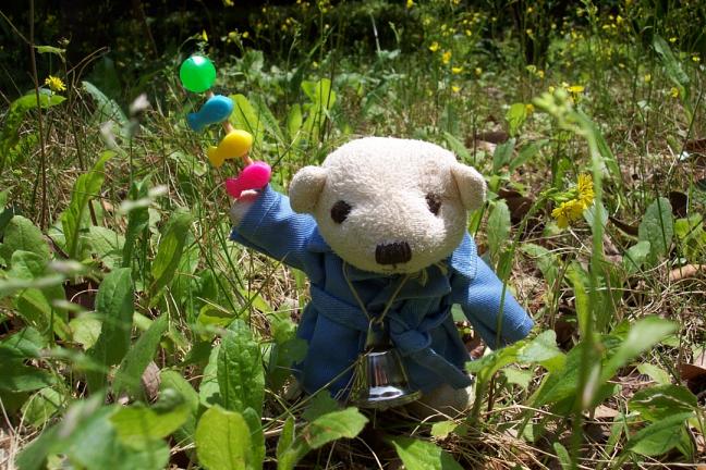 くばのこいのぼり