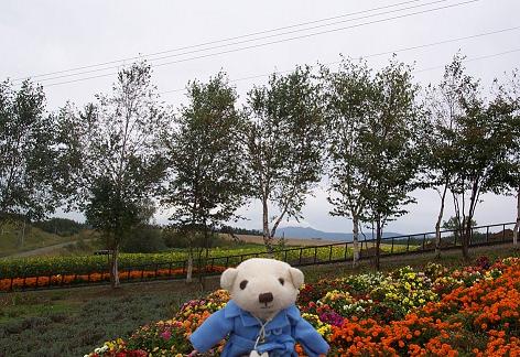 富良野のお花畑にて