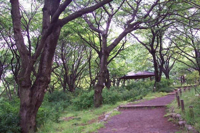 神代植物園