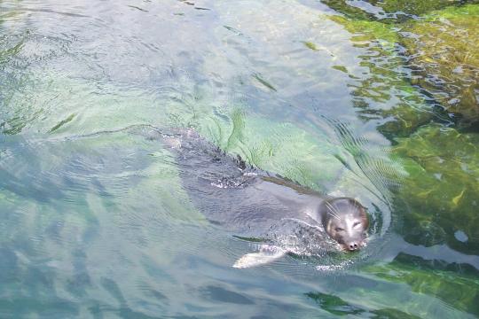 水族館4